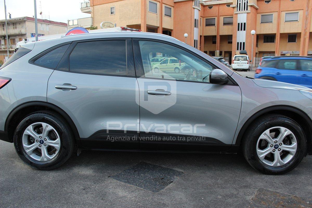 FORD Kuga 1.5 EcoBlue 120 CV 2WD Titanium Business