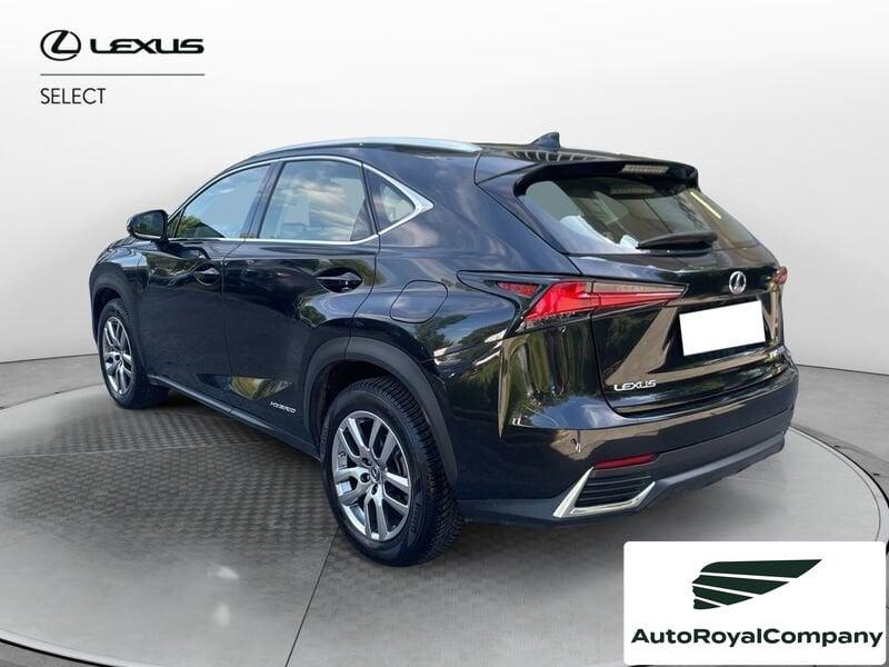 Lexus NX NX Hybrid Business VENDUTA