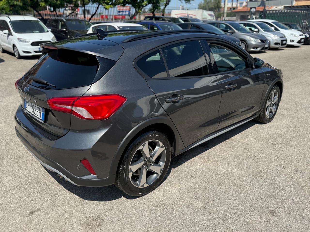 Ford Focus 1.5 EcoBlue 120 CV Automatico 5p. Active