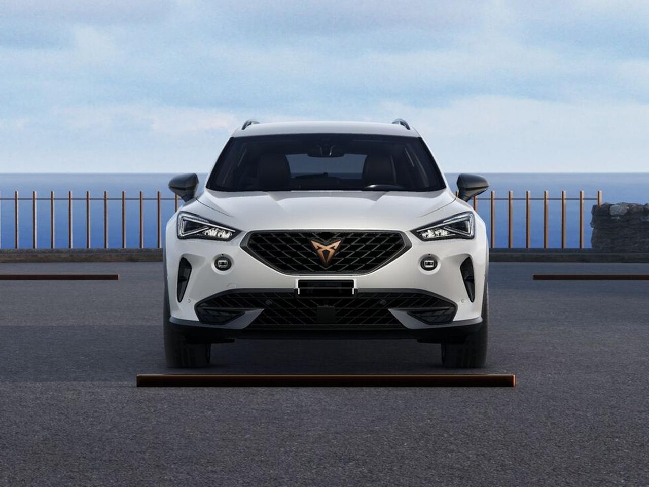 Cupra Formentor 1.4 e-hybrid 204cv dsg