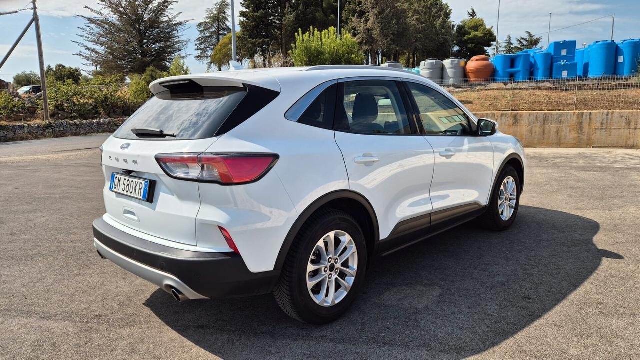 Ford Kuga 1.5 EcoBlue 120 CV 2WD Titanium Business