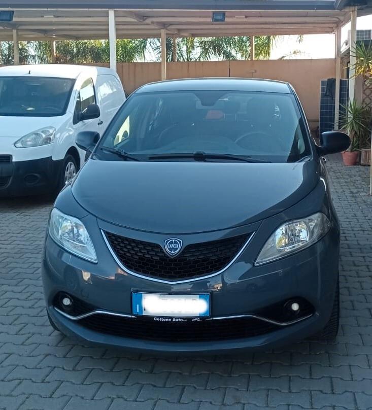 Lancia Ypsilon 1.2 69 CV 5 porte Gold