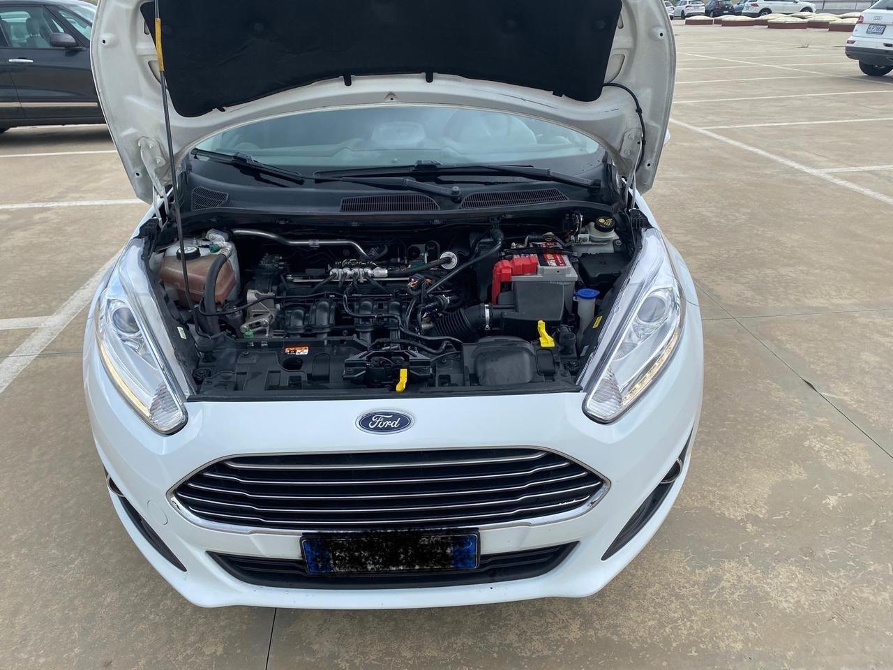 Ford Fiesta 1.4 5 porte Bz.- GPL Black & White Edition