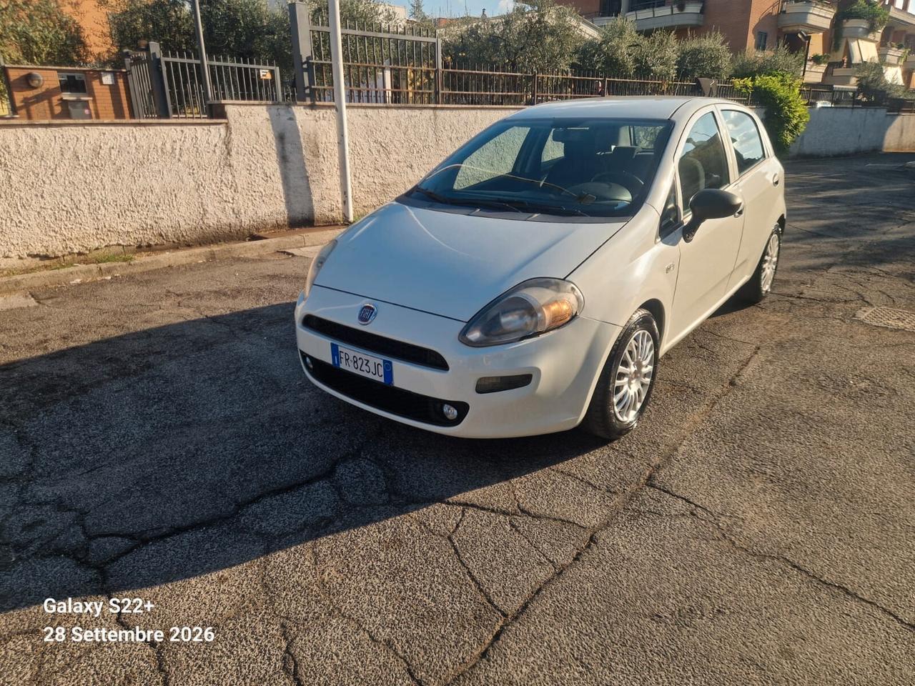 Fiat Punto 1.3 MJT 95CV S&S 5 porte Van 4 posti N1