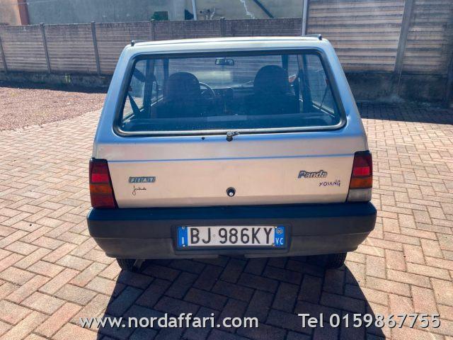 FIAT Panda 1ª serie 900 i.e. cat Young