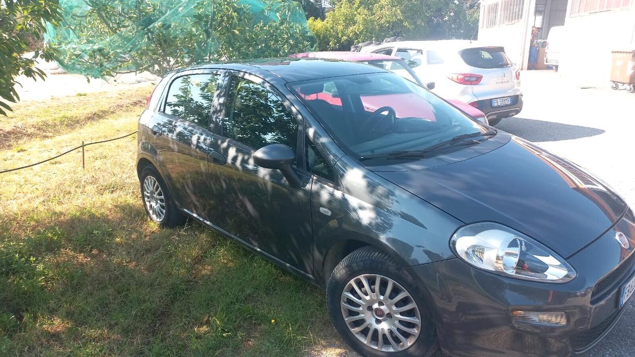 Fiat Punto 1.2 8V 5 porte Lounge MESE DELLO SCONTO PASSAGGIO INCLUSO