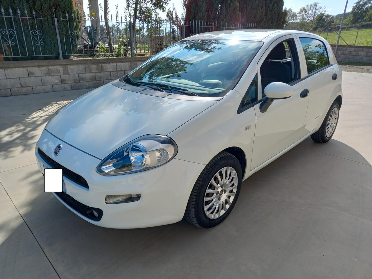 Fiat Punto 1.3 MJT II 95 CV 5 porte Street 2017