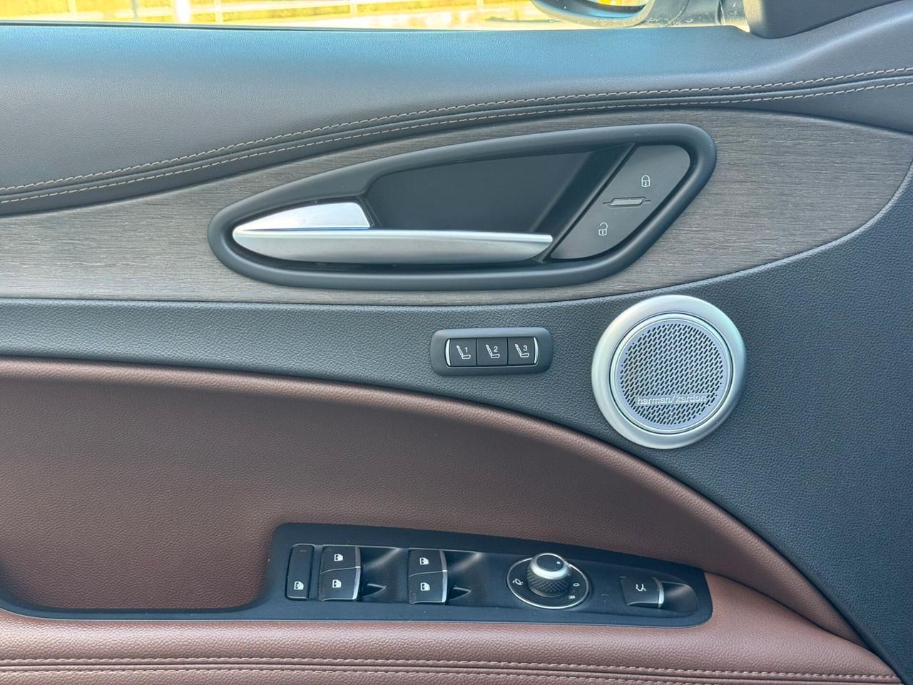 Alfa Romeo Stelvio 2.0 Turbo 200 CV AT8 Q4 Executive con impianto metano