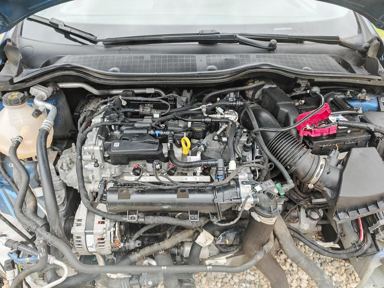 Ford Fiesta 1.5 Ecoboost 200 CV 5 porte ST