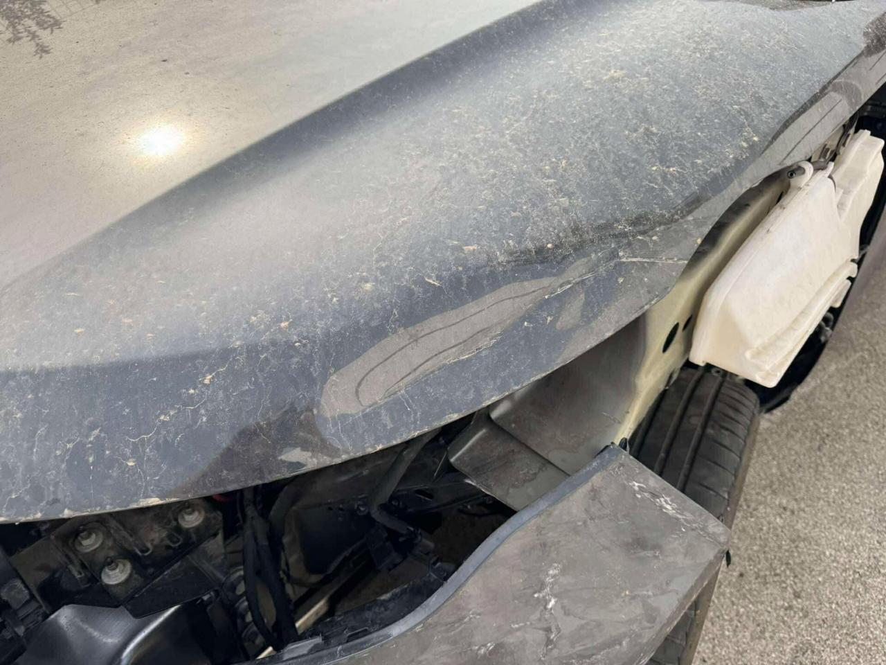Land RR Evoque 2.0 D150 S AWD Sport-2020