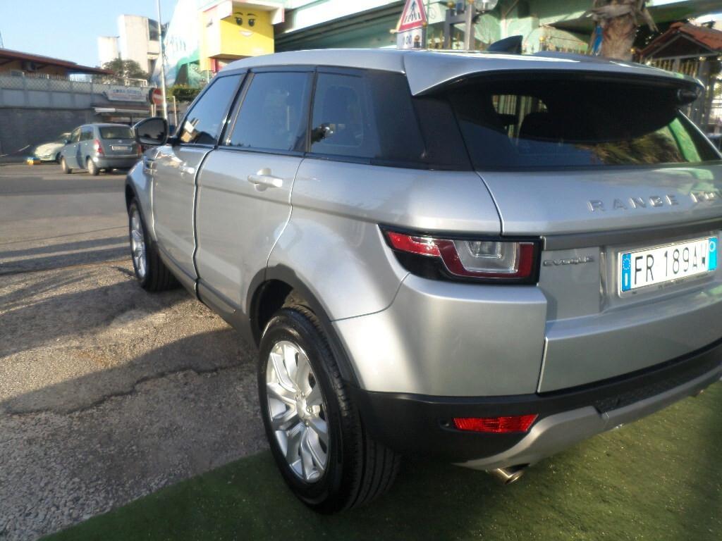 Land Rover Range Evoque 2.0 TD4 150 CV 5p. Business Edition Pure
