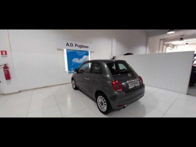 FIAT 500 Serie 8 1.0 70 Cv Hybrid Lounge