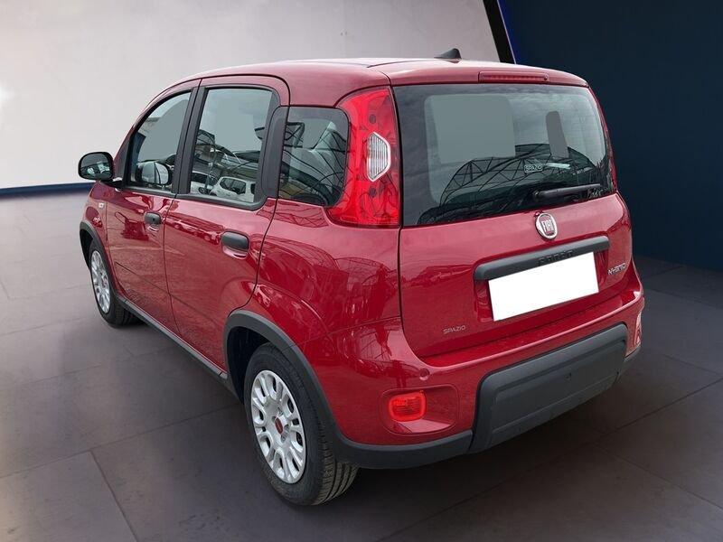 FIAT Panda My24 1.0 70cv Hybrid Panda
