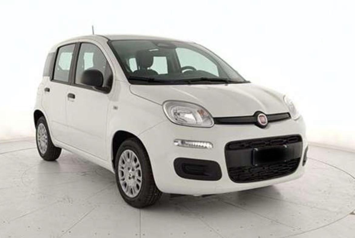 Fiat Panda 1.0 Fire Hybrid NOLEGGIO
