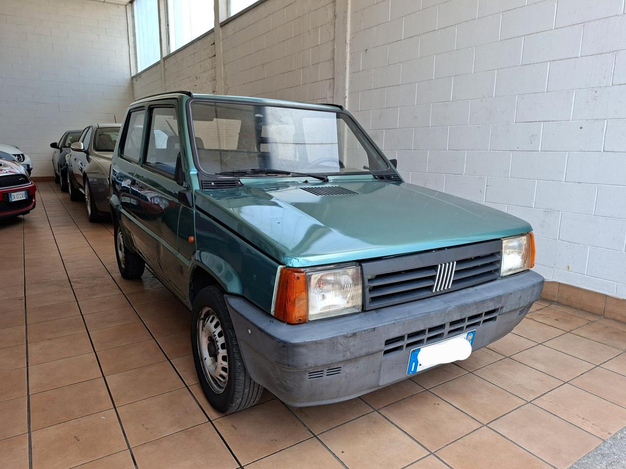 Fiat Panda 900 i.e. cat Young
