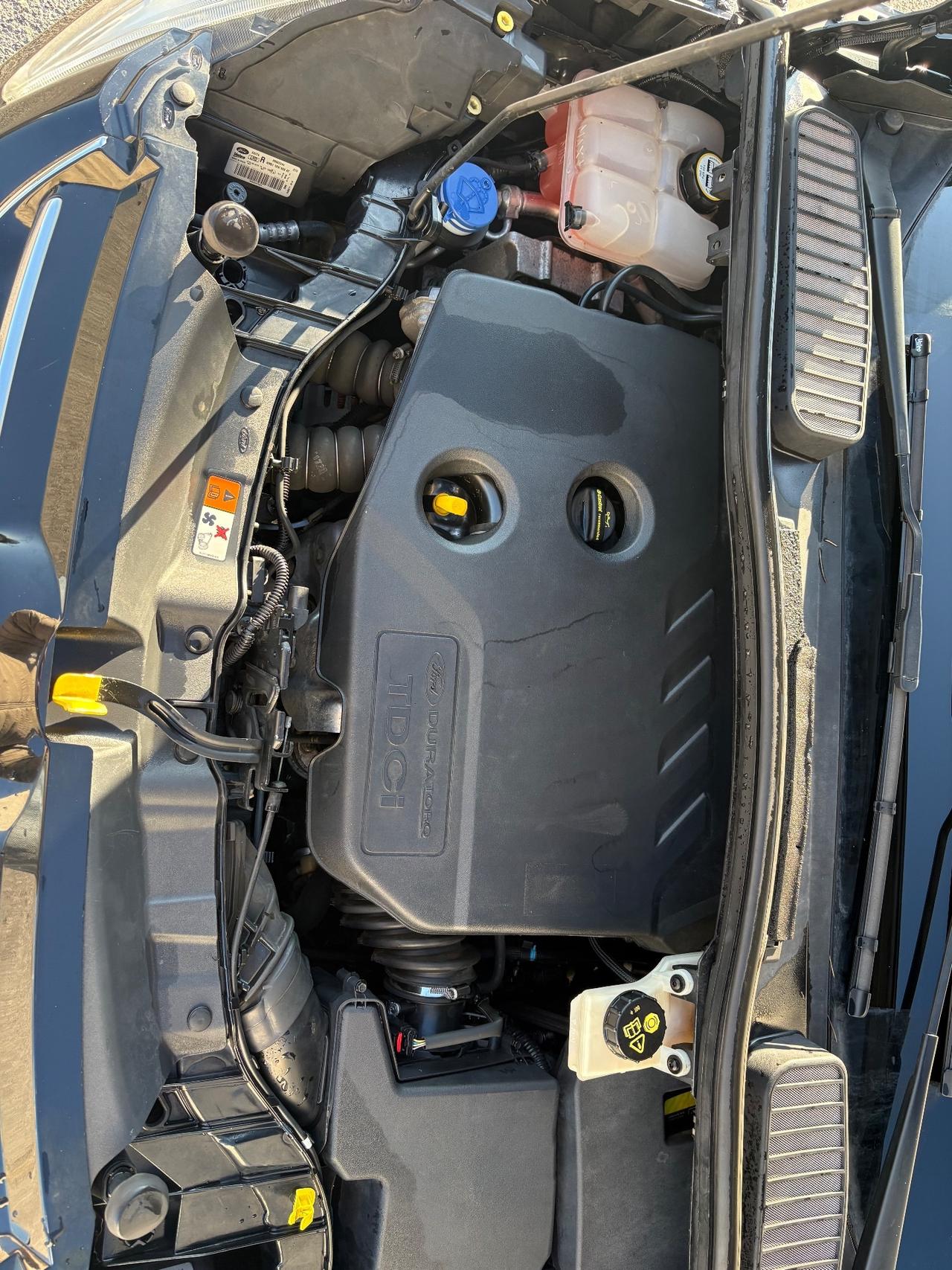 Ford C-Max 1.6 TDCi 115CV Titanium