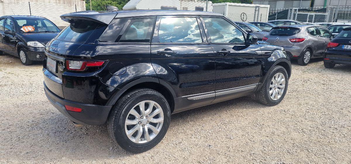LAND ROVER - Range Rover Evoque 2.0 TD4 150CV 5p. Business Edition Pure