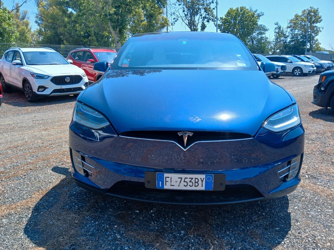 Tesla Model X Model X 100kWh Dual Motor