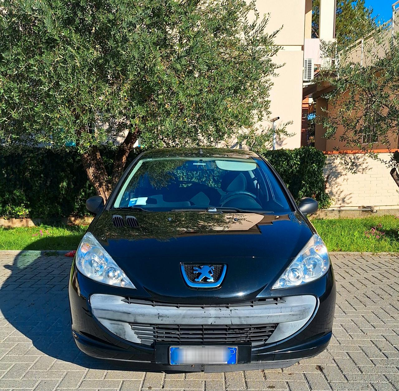 Peugeot 206 Plus - Tagliandata - Unipropr