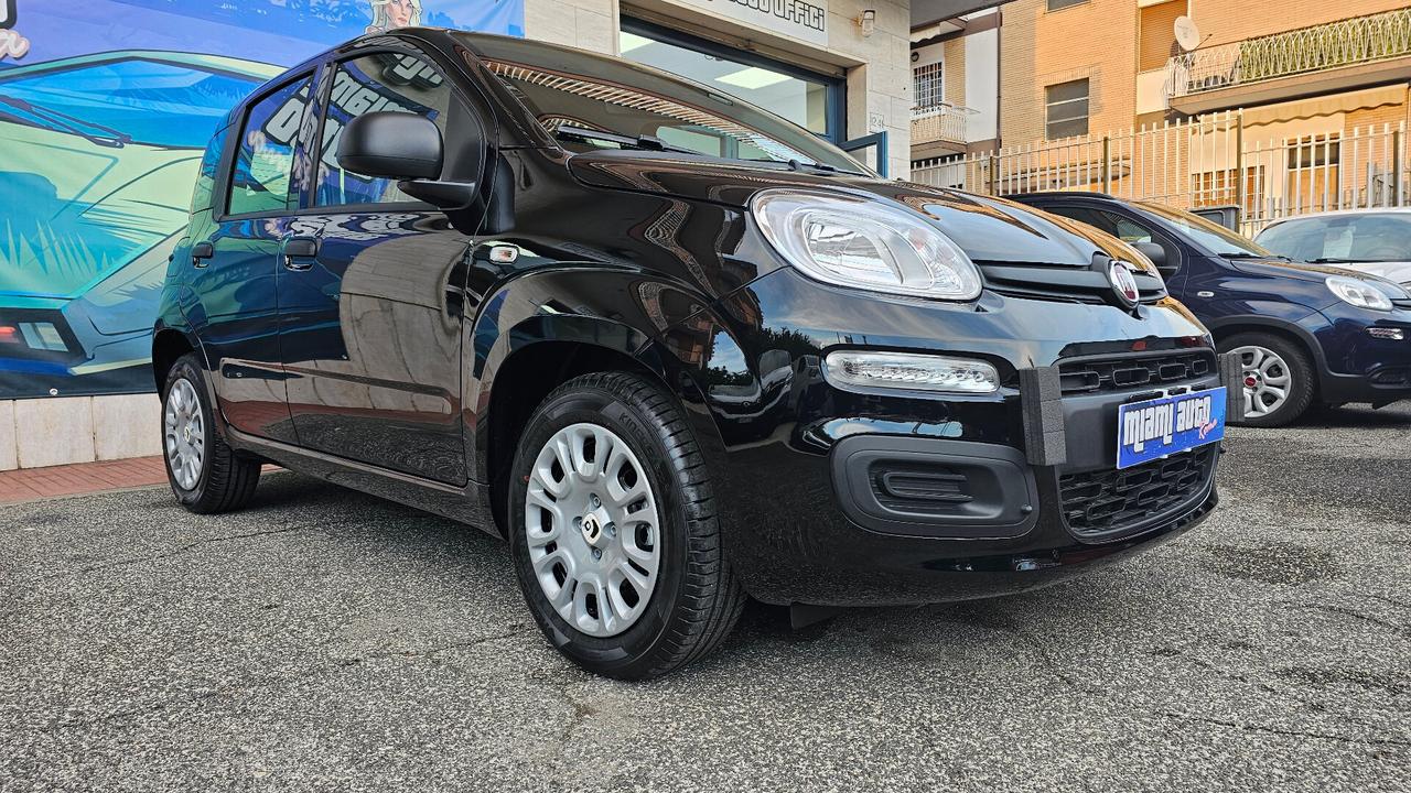 Fiat Panda 1.0 FireFly S&S Hybrid Pandina ICON KM0 REALE