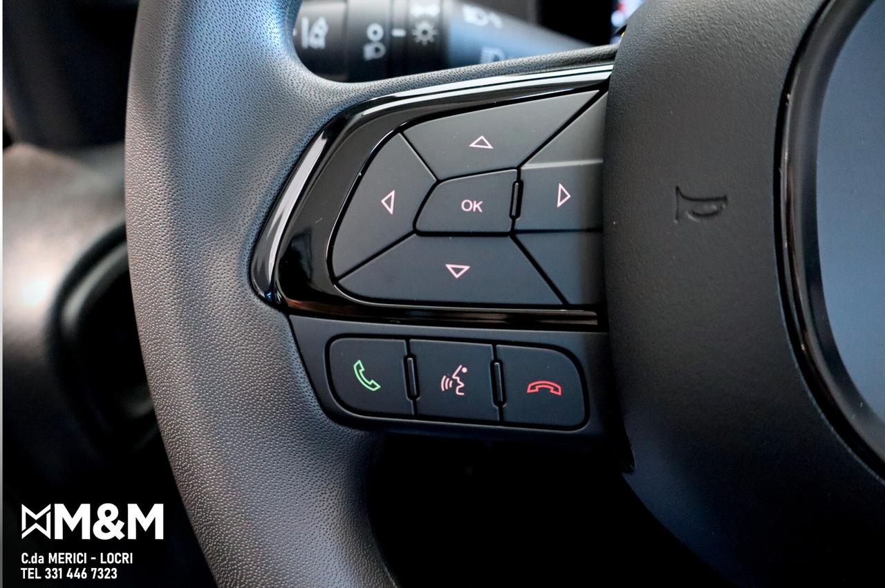 Fiat Panda 1.0 FireFly S&S Hybrid Pandina