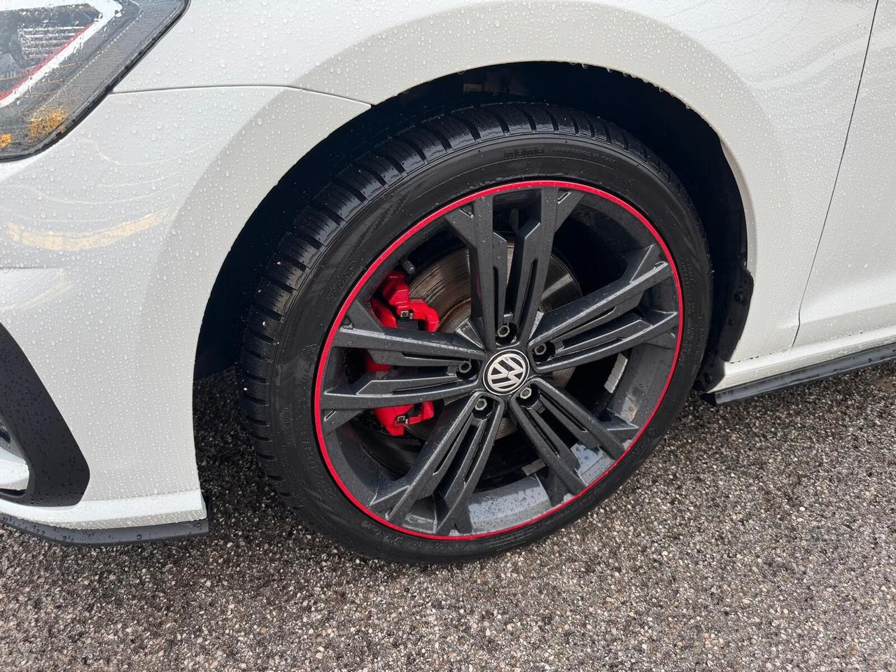 Volkswagen Golf GTI Performance 2.0 TSI 5p. BlueMotion Technology