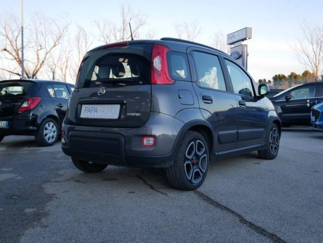 Fiat Panda III 1.0 firefly hybrid City Life s&s 70cv 5p.ti