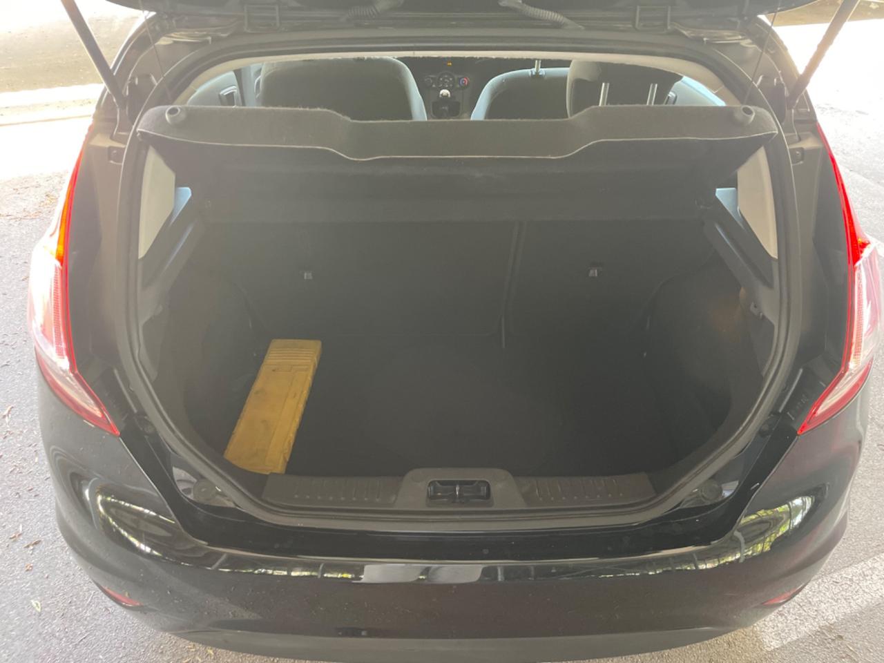 Ford Fiesta 1.5 TDCi 75CV 5 porte Titanium
