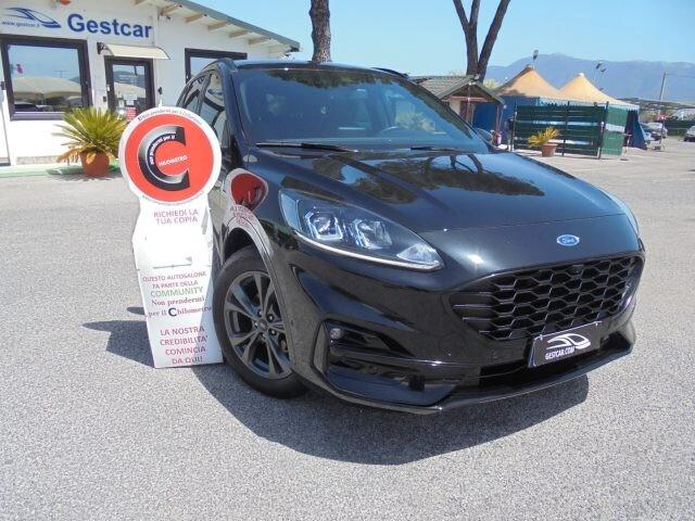 Ford Kuga 1.5 EcoBlue 120 CV 2WD ST-Line X