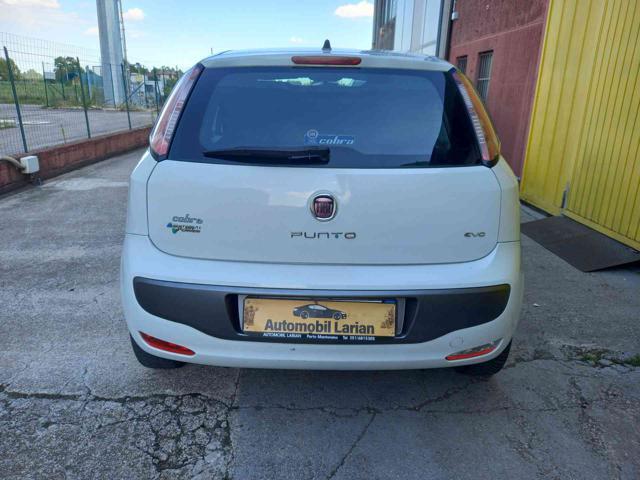 FIAT Punto Evo 1.4 5 porte Emotion Natural Power ok neopatentati