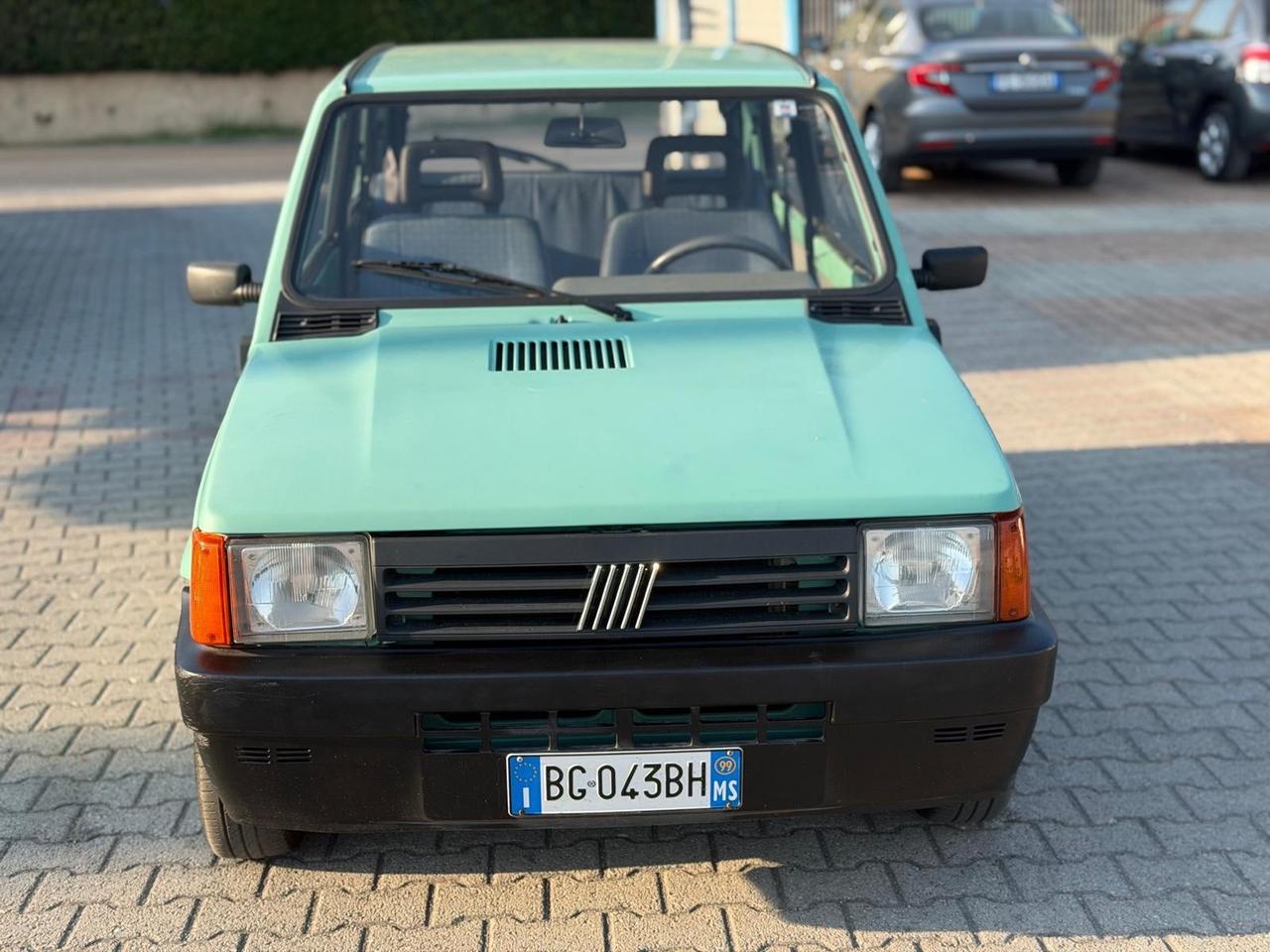 Fiat Panda 900 i.e. cat Young