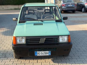 Fiat Panda 900 i.e. cat Young