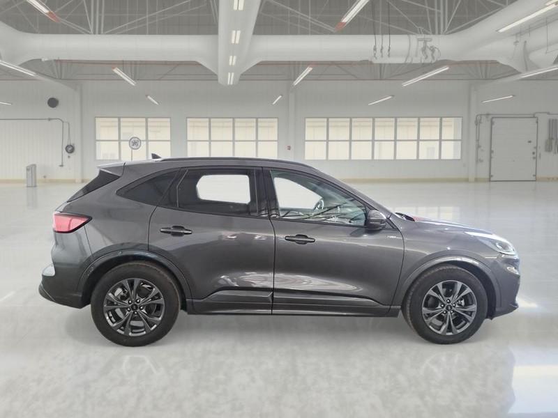 FORD KUGA 2.0 EcoBlue 120CV 2WD ST-Line Business Auto