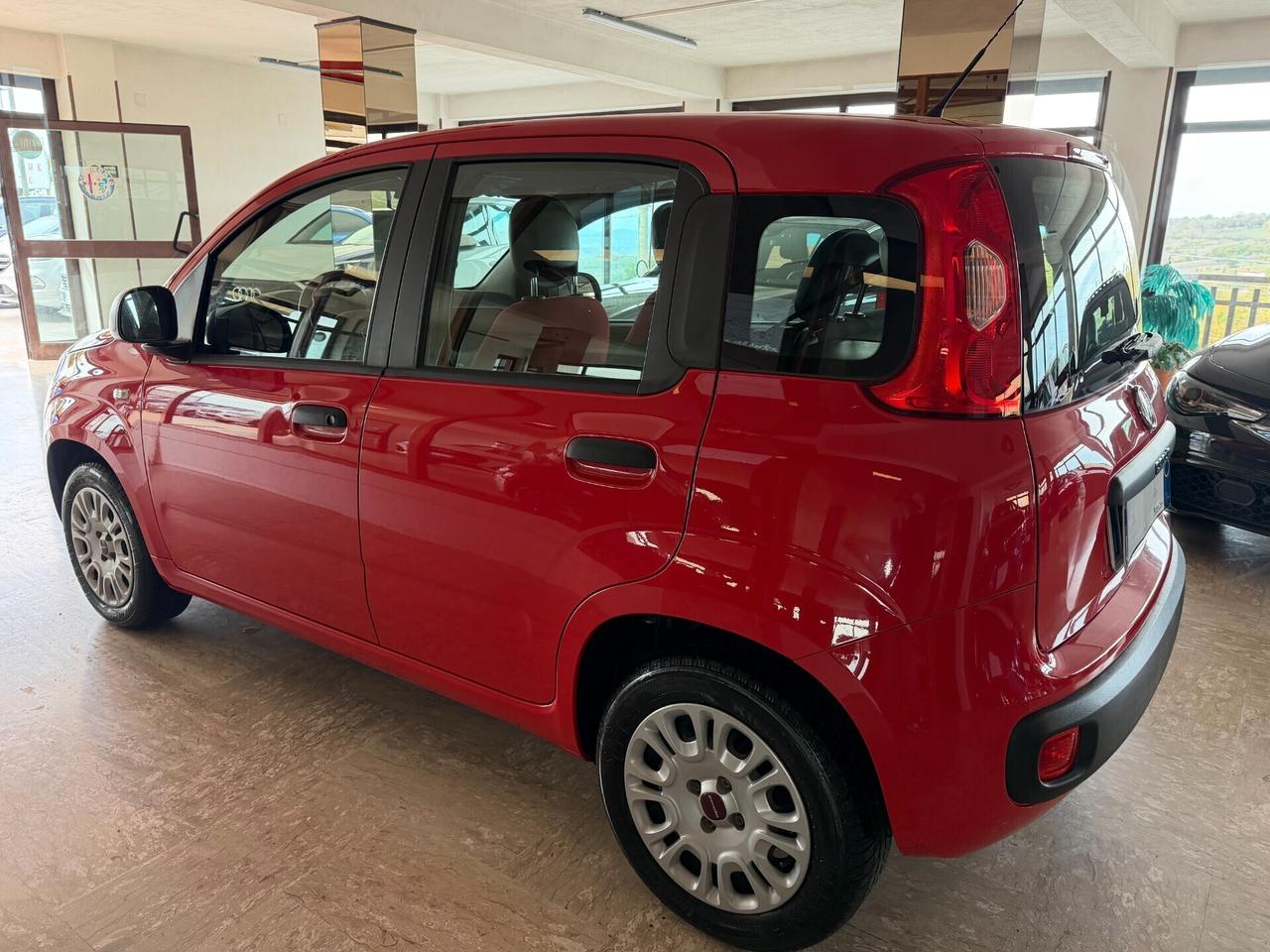 Fiat Panda New 1.2 69 cv. EASY