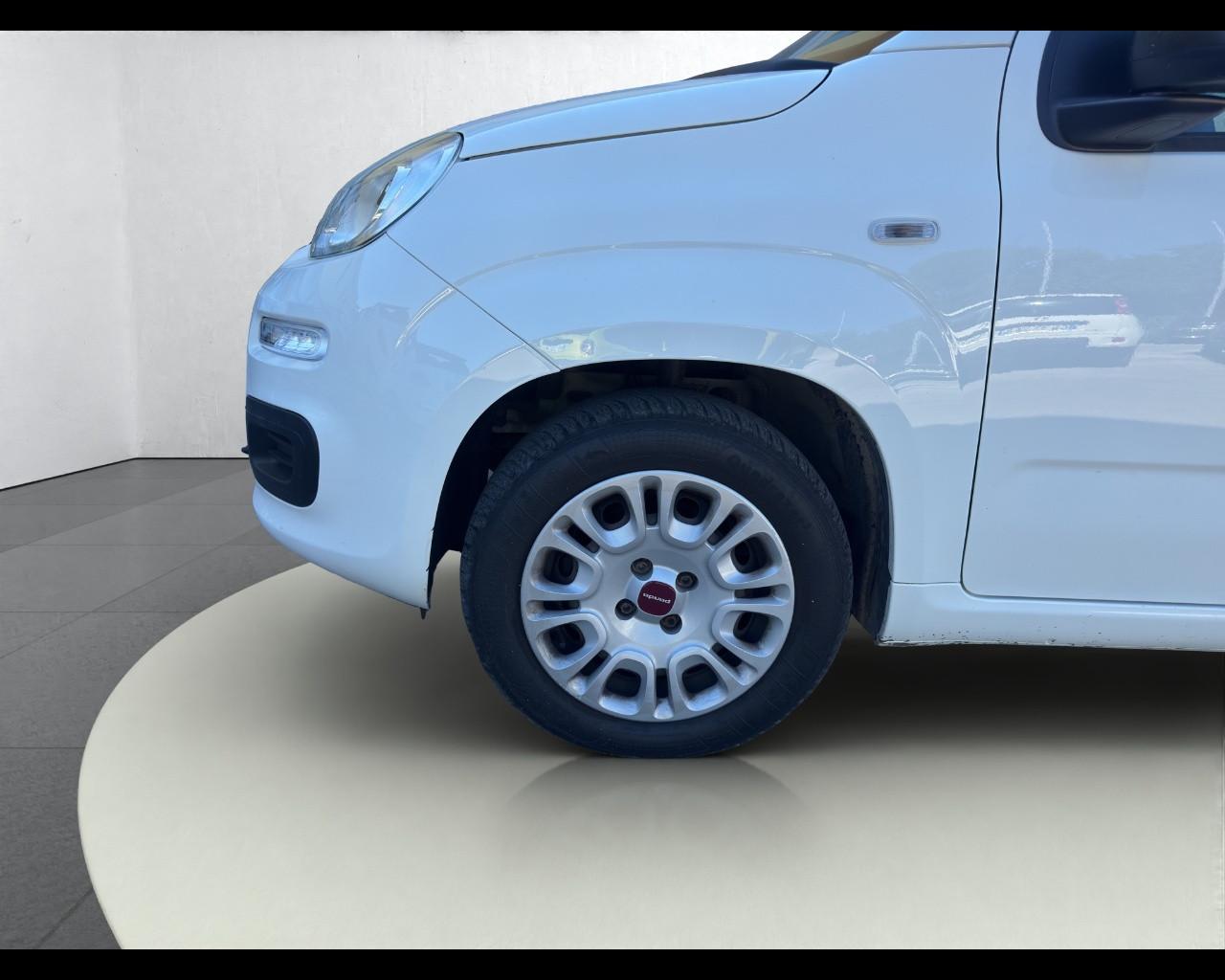 FIAT Panda 3ª serie - Panda 1.2 Easy