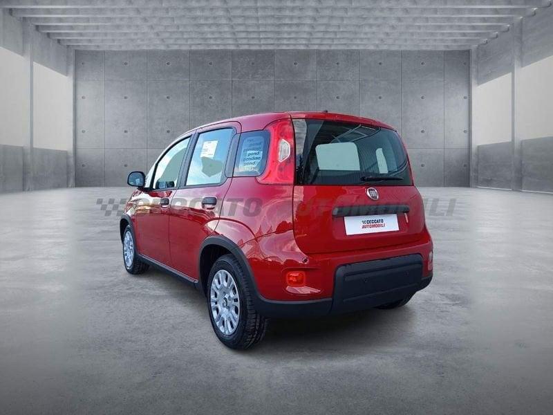 FIAT Panda 1.0 70cv Hybrid Panda