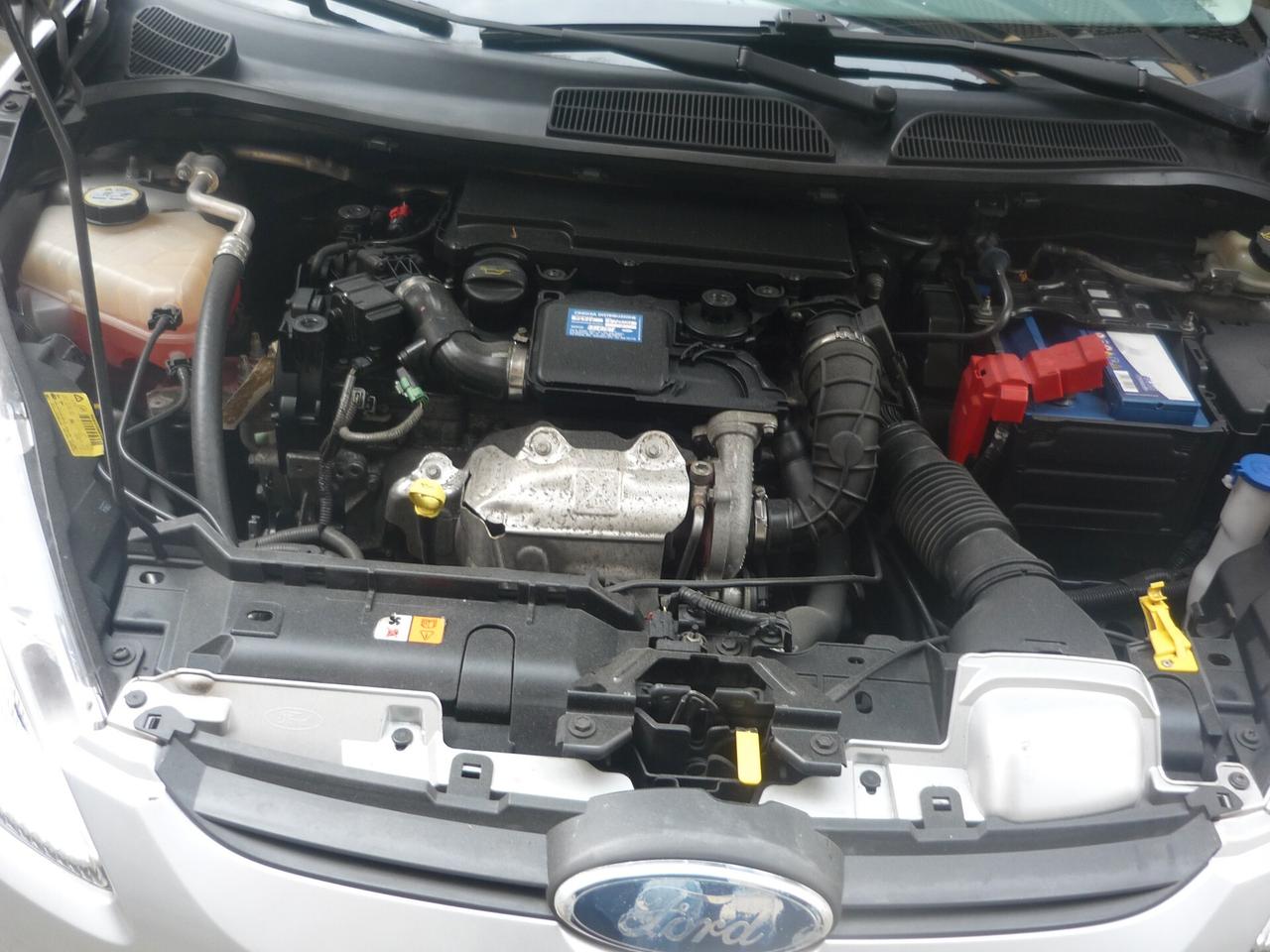 Ford Fiesta Fiesta+ 1.4 TDCi 68CV 3 porte