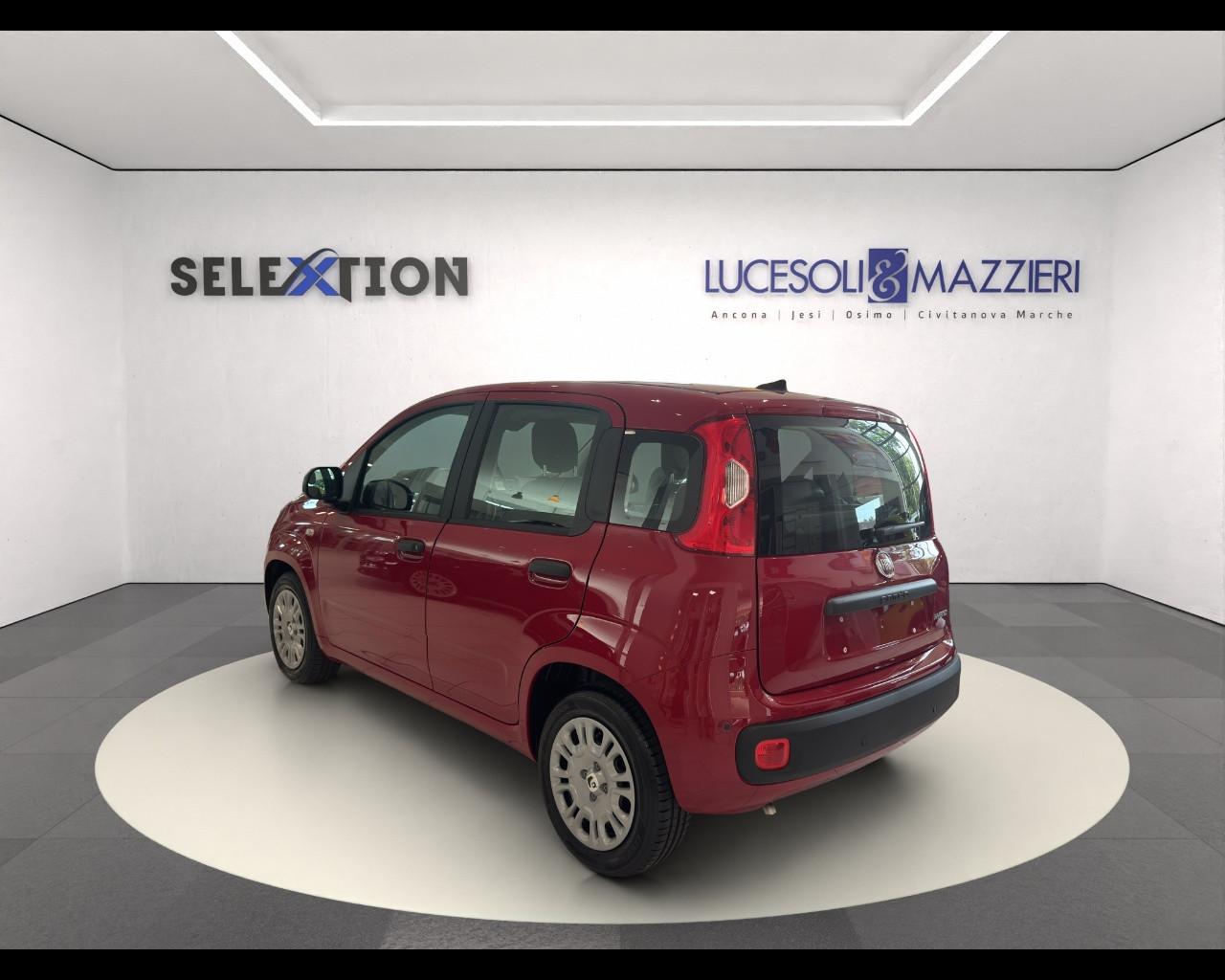 FIAT Panda 3ª serie - Panda 1.0 FireFly S&S Hybrid