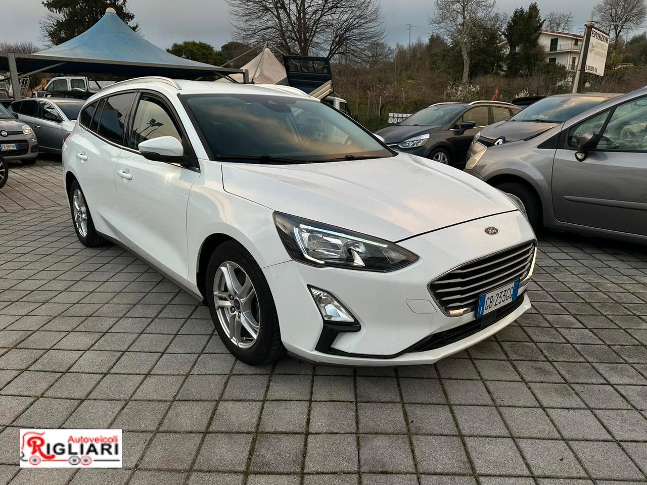 Ford Focus 1.5 EcoBlue 120 CV automatico SW Business Co-Pilot