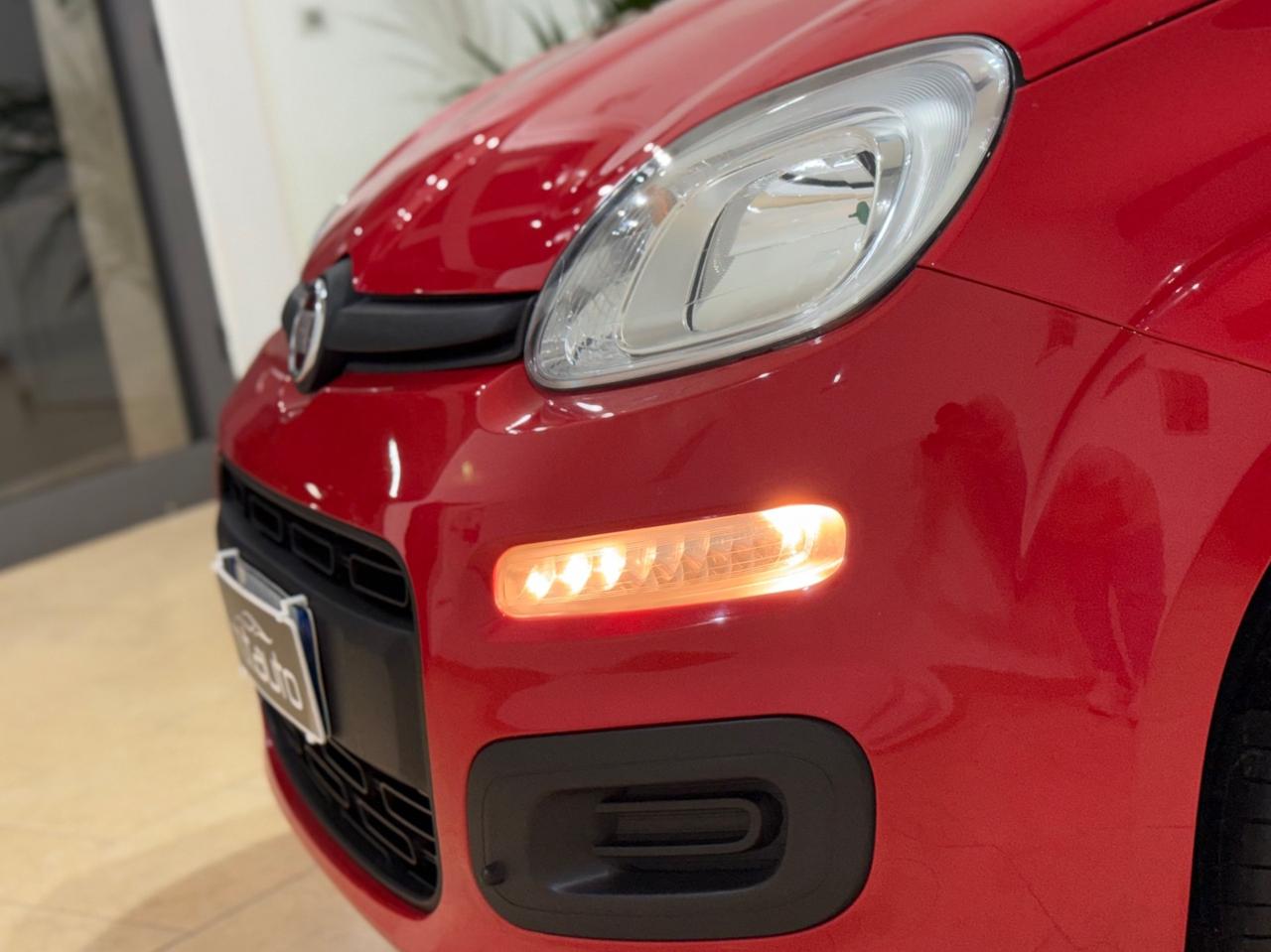 Fiat Panda 1.2 69 CV 5 porte Easy