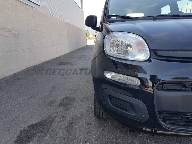 FIAT Panda Panda 1.0 firefly hybrid s&s 70cv 5p.ti