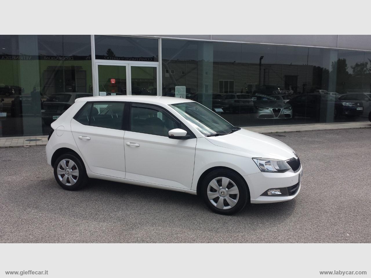 SKODA Fabia 1.4 TDI 90 CV AUTOCARRO N1 4 POSTI