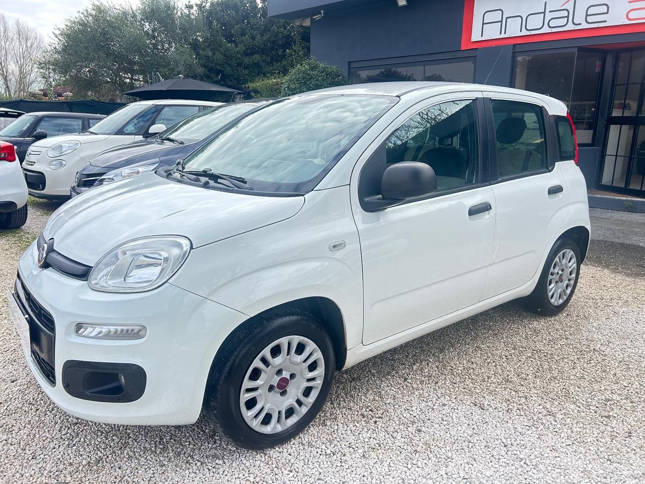 Fiat Panda 1.2 NEOPATENTATI