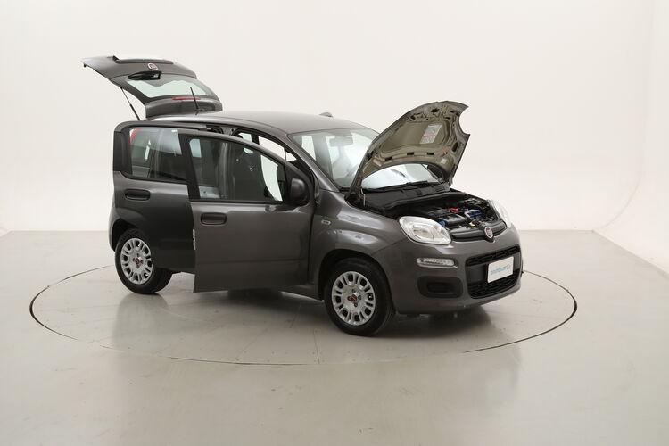 Fiat Panda Easy BZ045904 1.2 Benzina 69CV
