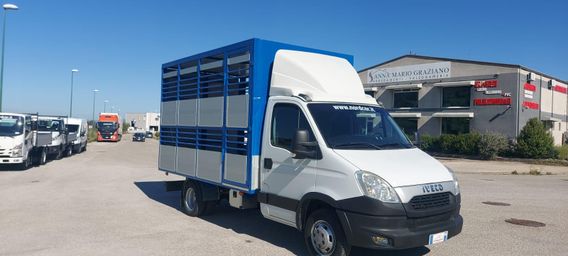 Iveco Daily 35C13 Trasporto Animali