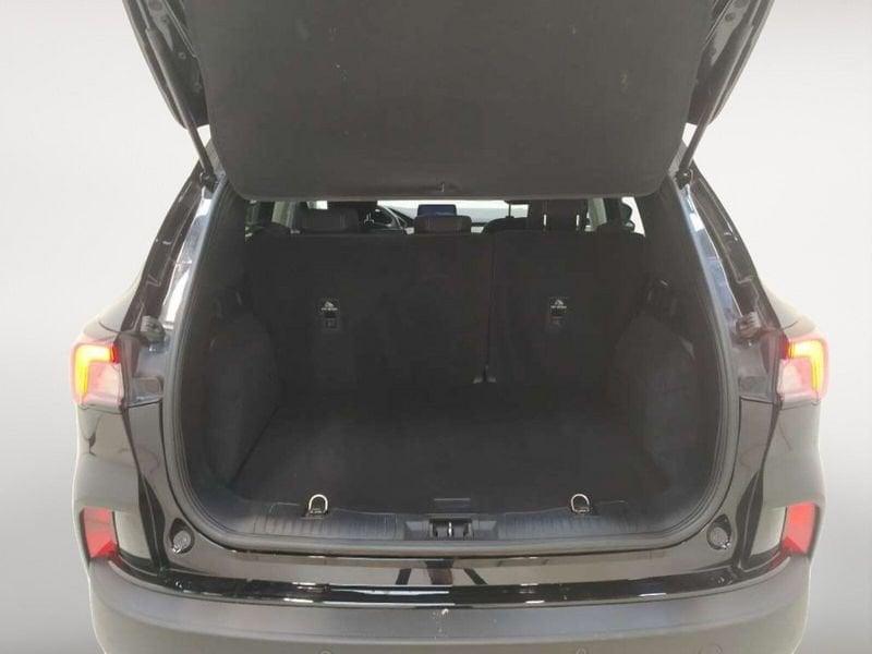 Ford Kuga 1.5 ecoblue Titanium 2wd 120cv