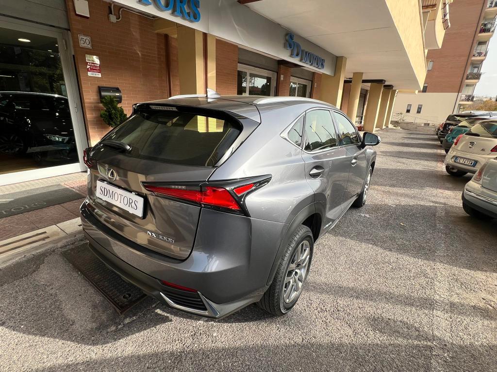 Lexus NX 300h 2.5 Business 4wd cvt