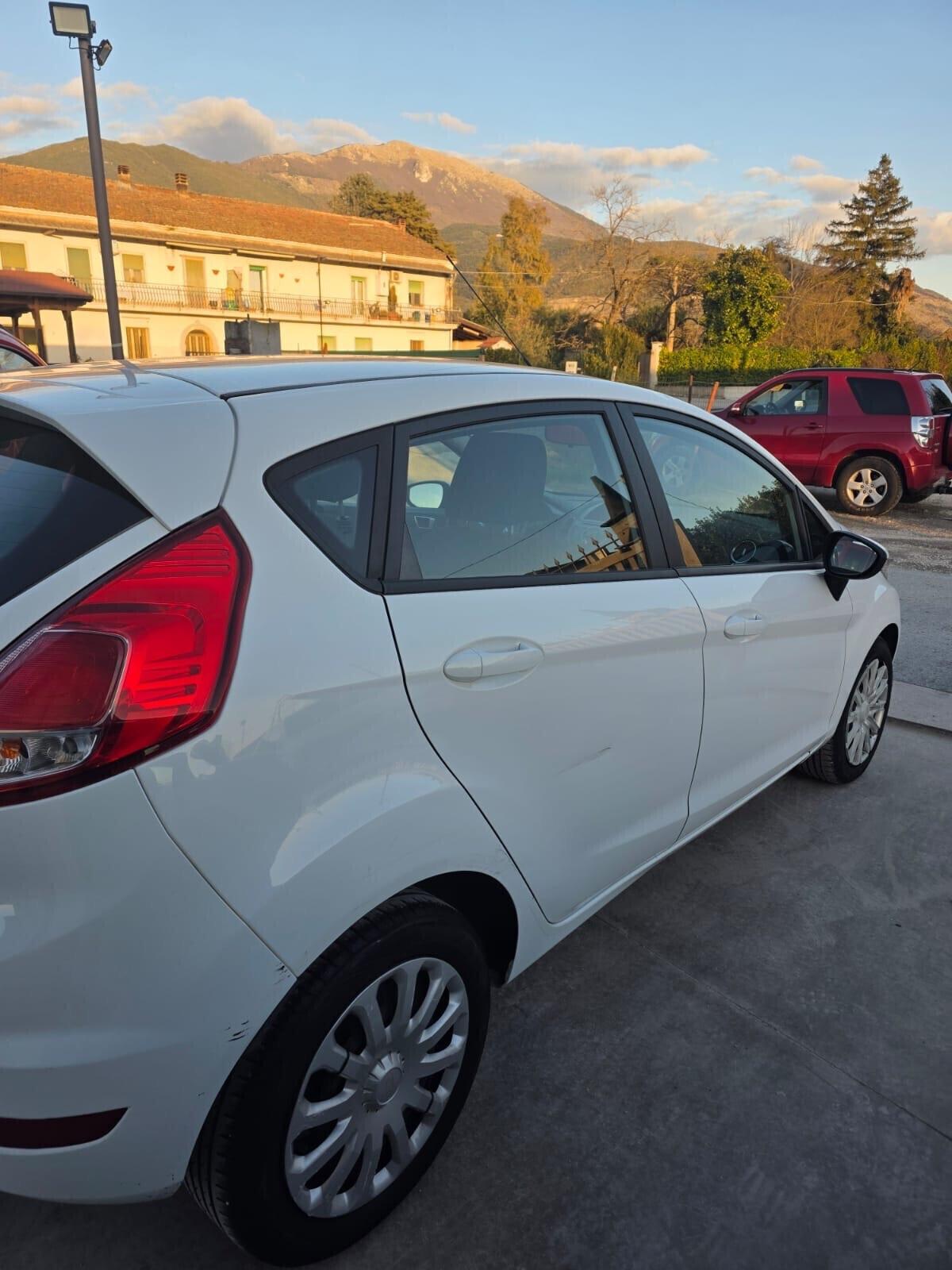 Ford Fiesta 1.4 5 porte Bz.- GPL Black & White Edition garantita 12 mesi