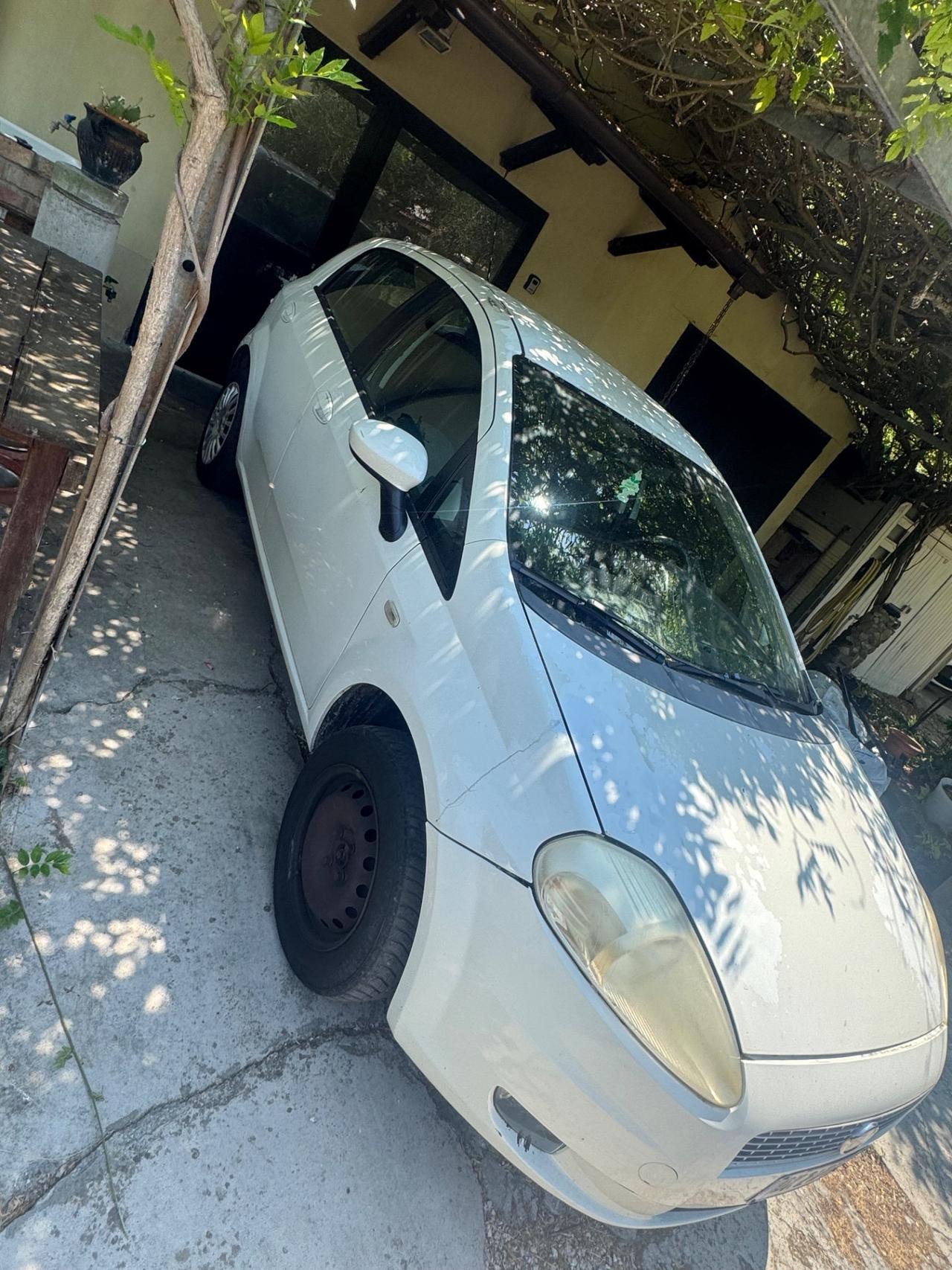 Fiat Punto Classic 1.2 5 porte Natural Power Active