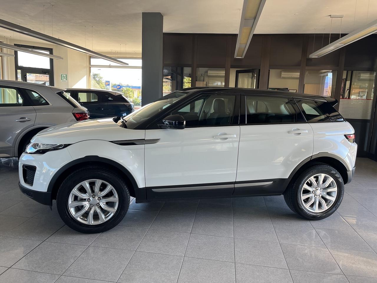 LAND ROVER EVOGUE 2.0 D 1 50 CV 6M